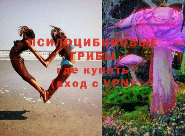 гидропоника Аркадак