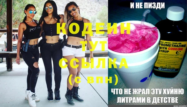 молекула духа Покровск
