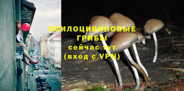 ALPHA PVP Армянск