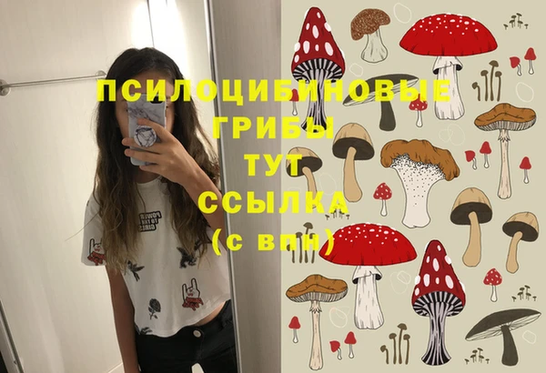 ALPHA PVP Армянск