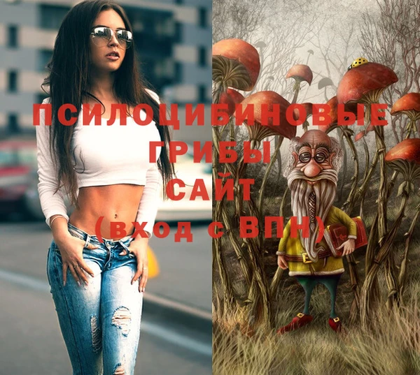 гидропоника Аркадак